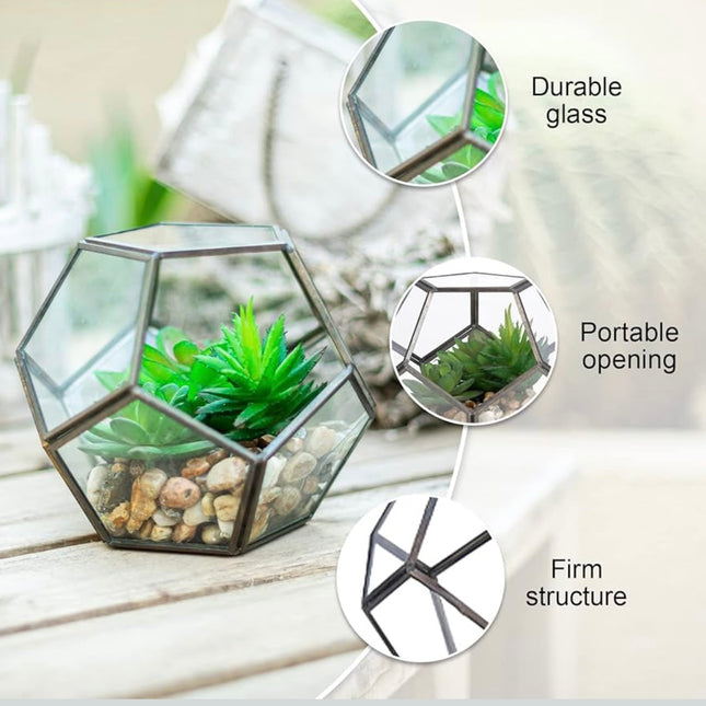 Artificial Succulents & Pebbles with Geometric Glass Terrarium