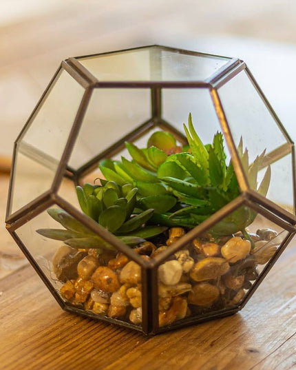 Artificial Succulents & Pebbles with Geometric Glass Terrarium