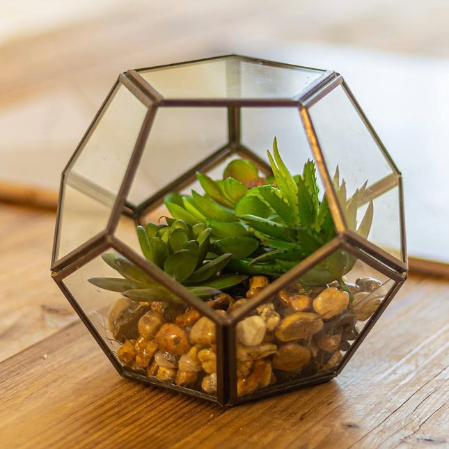 Artificial Succulents & Pebbles with Geometric Glass Terrarium