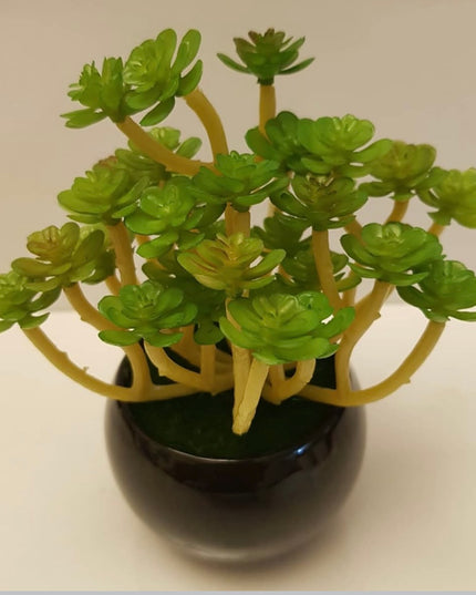Artificial Succulent in Glossy Pot