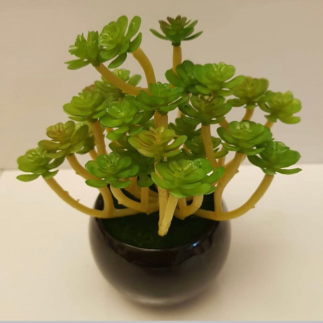 Artificial Succulent in Glossy Pot